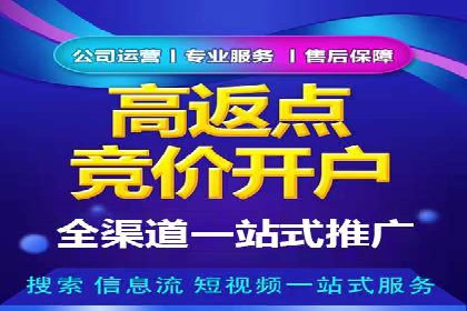 百度搜索推广实战经验：经典案例启示录